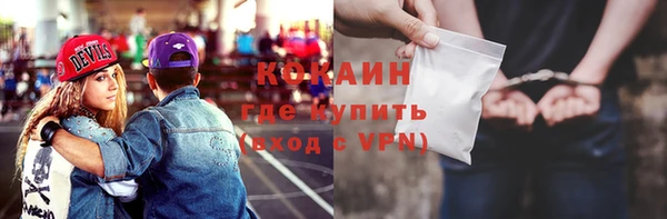 индика Кодинск