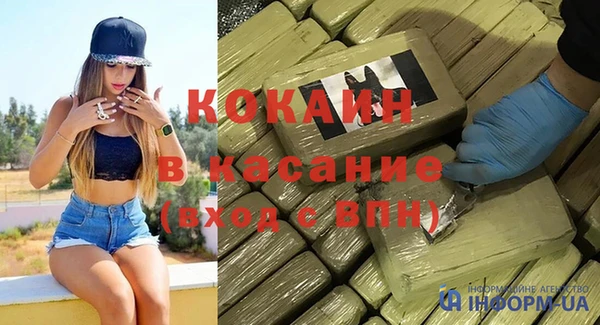 прущие грибы Козловка