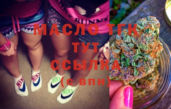индика Кодинск
