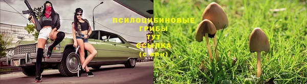 прущие грибы Козловка